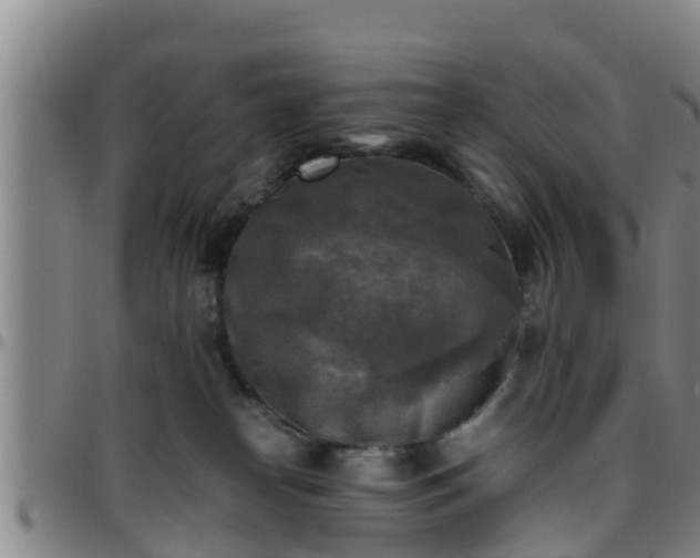 X0000096400182200801311359