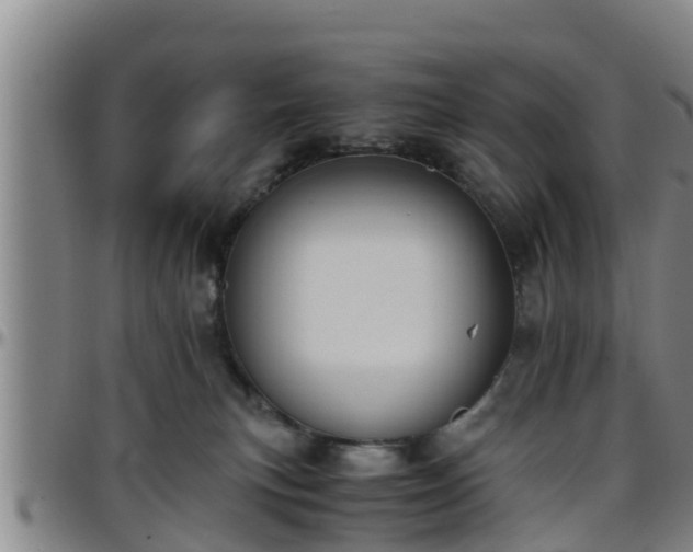 X0000096400183200801311359