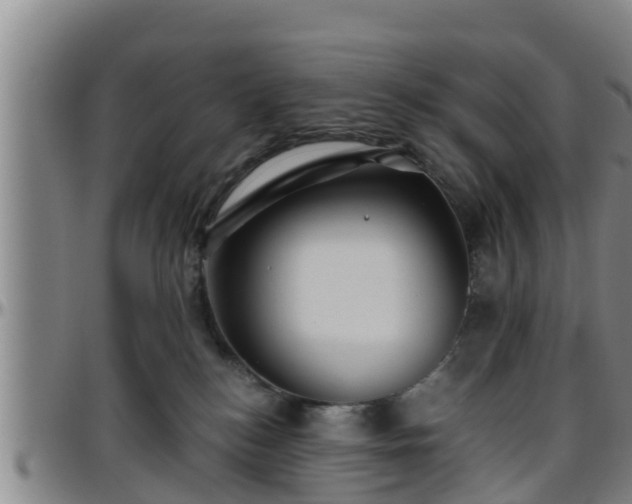 X0000096400184200801311359