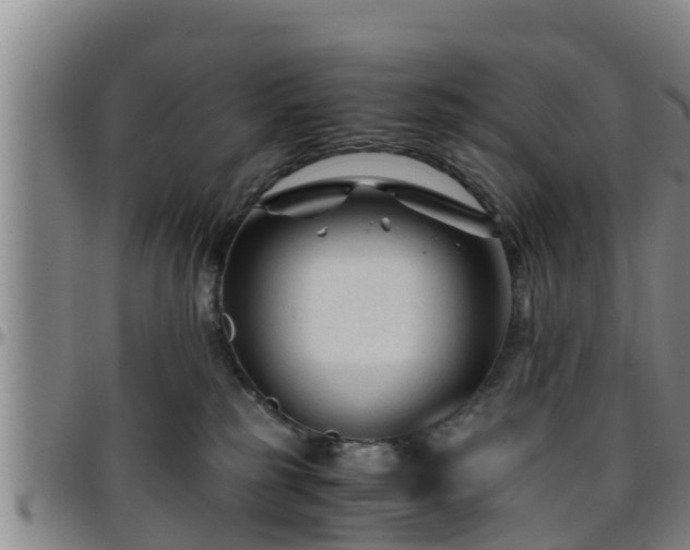 X0000096400185200801311359