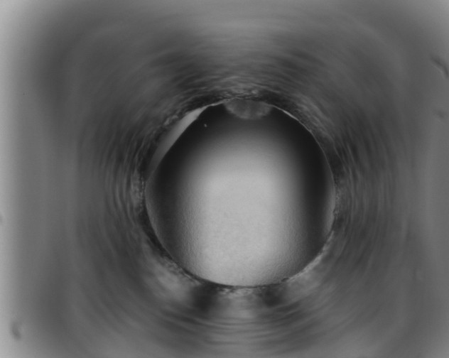 X0000096400186200801311359