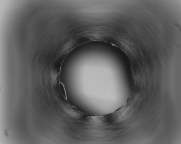 X0000096400188200801311359