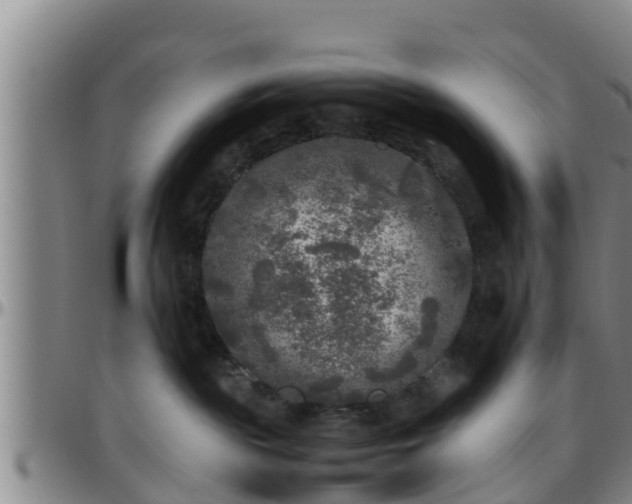 X0000096400189200801311359