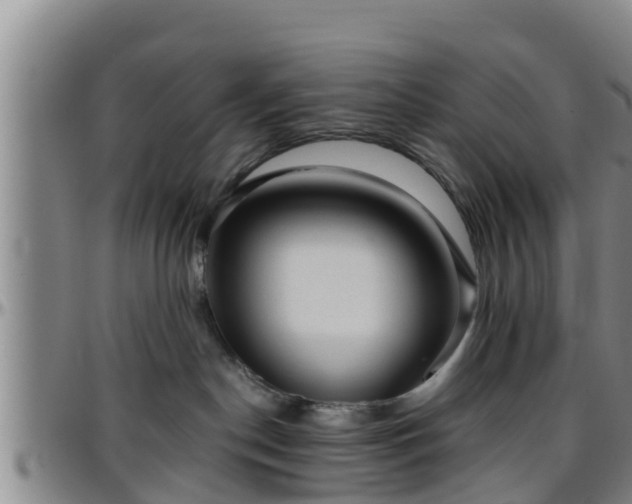 X0000096400190200801311359