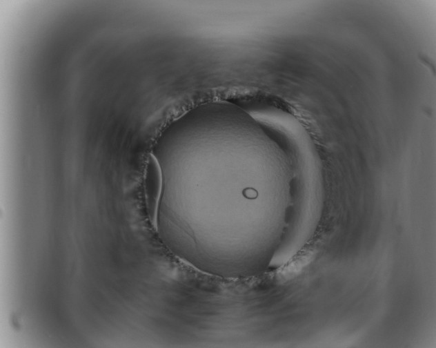 X0000096400192200801311359