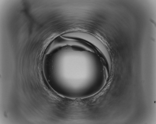 X0000096400193200801311358