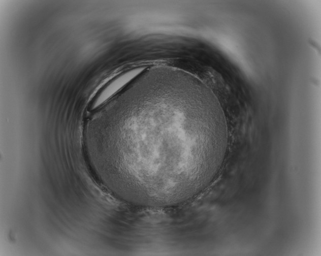 X0000096400194200801311358