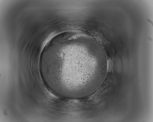 X0000096400195200801311358