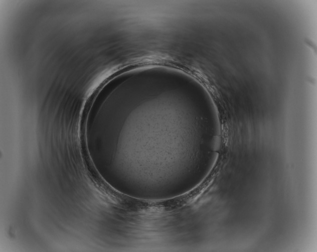 X0000096400196200801311358