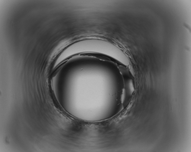 X0000096400197200801311358