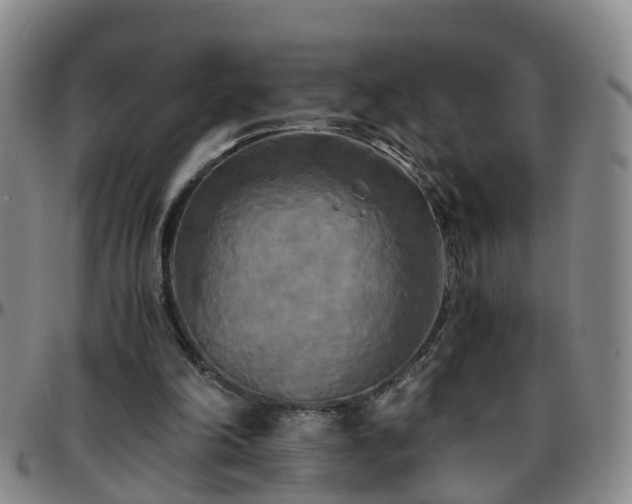 X0000096400198200801311358