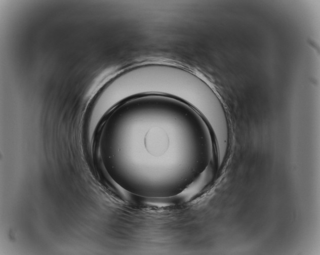 X0000096400199200801311358