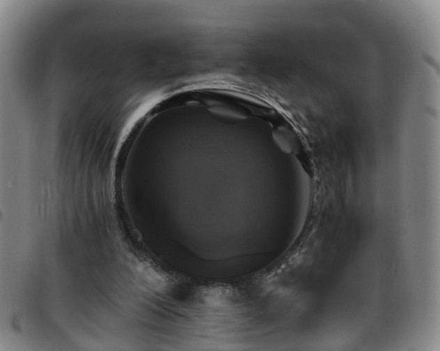 X0000096400200200801311358