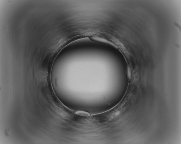 X0000096400201200801311358