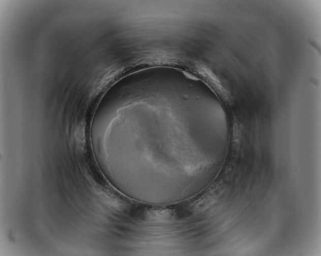 X0000096400202200801311358