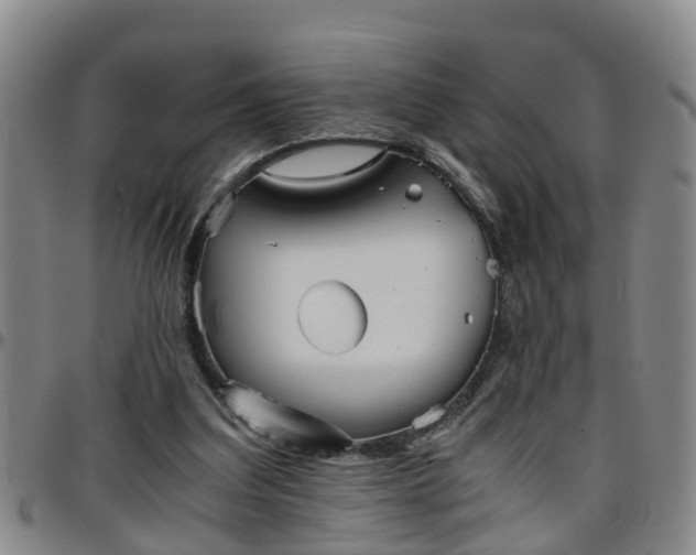 X0000096400203200801311358