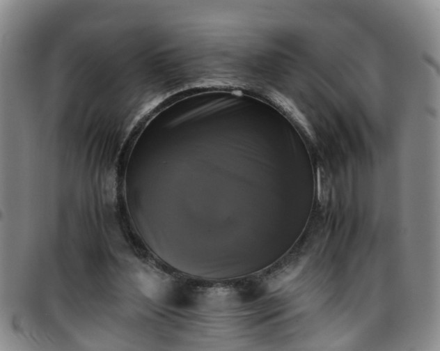 X0000096400204200801311358