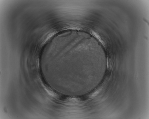 X0000096400205200801311358