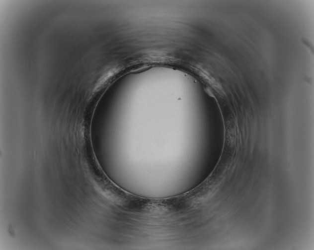 X0000096400207200801311358