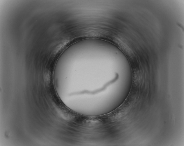 X0000096400208200801311358