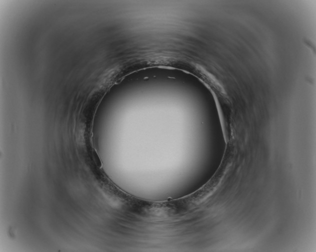 X0000096400209200801311358