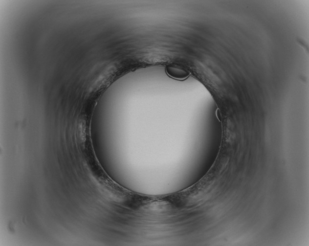 X0000096400210200801311358