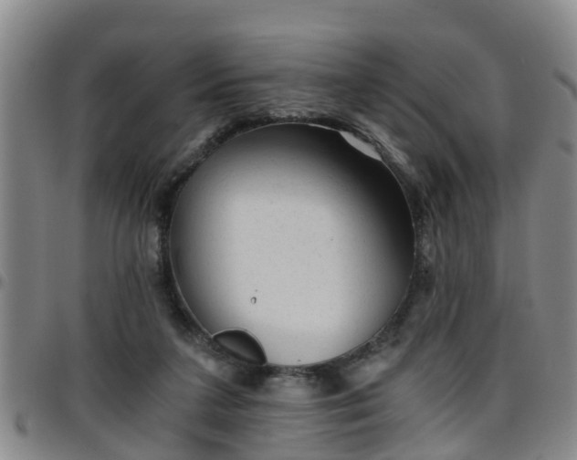 X0000096400211200801311358