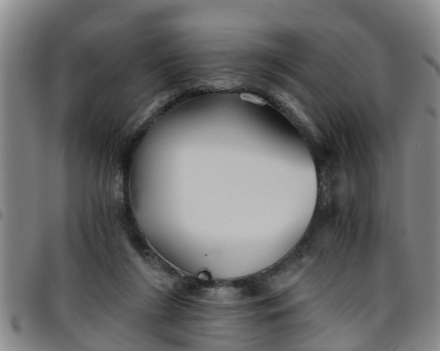 X0000096400212200801311358