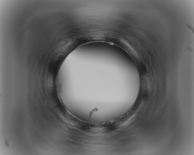 X0000096400213200801311358