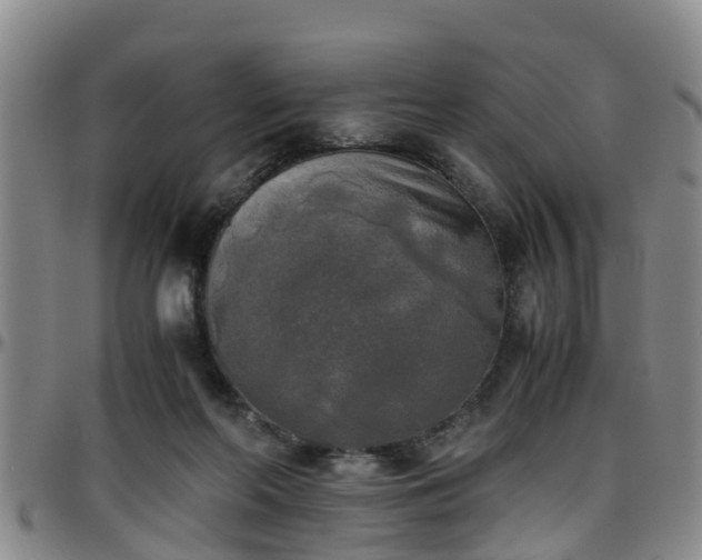 X0000096400214200801311358