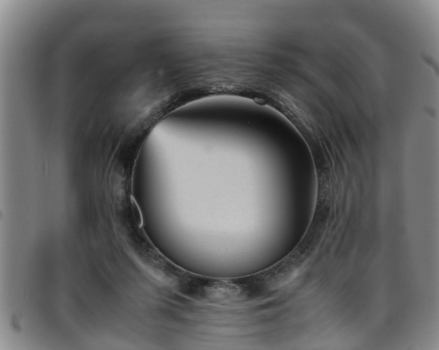 X0000096400215200801311358