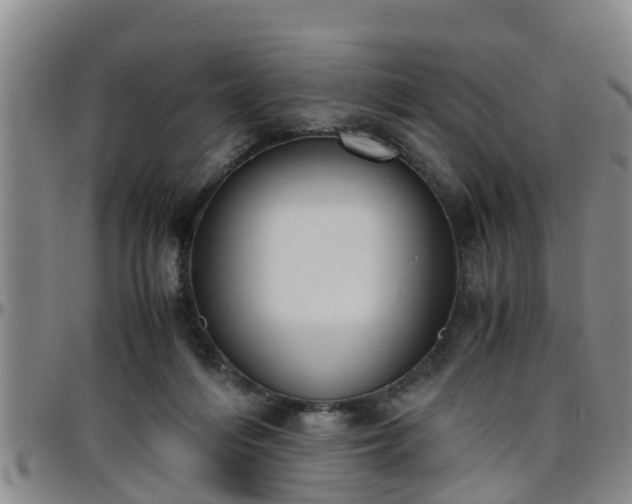 X0000096400216200801311358