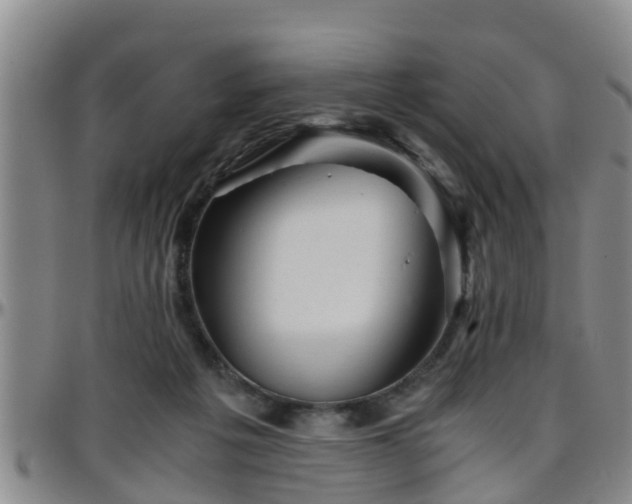 X0000096400217200801311358