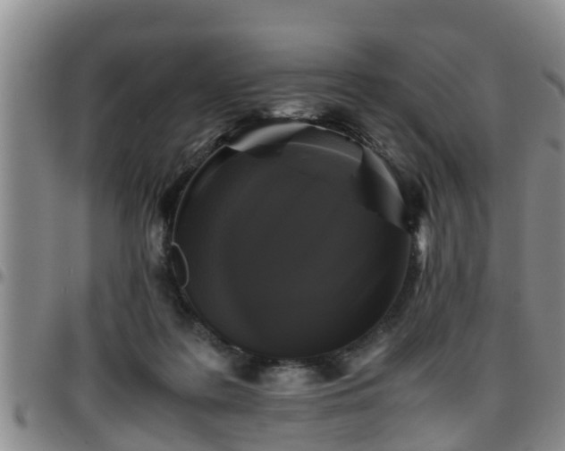 X0000096400219200801311358