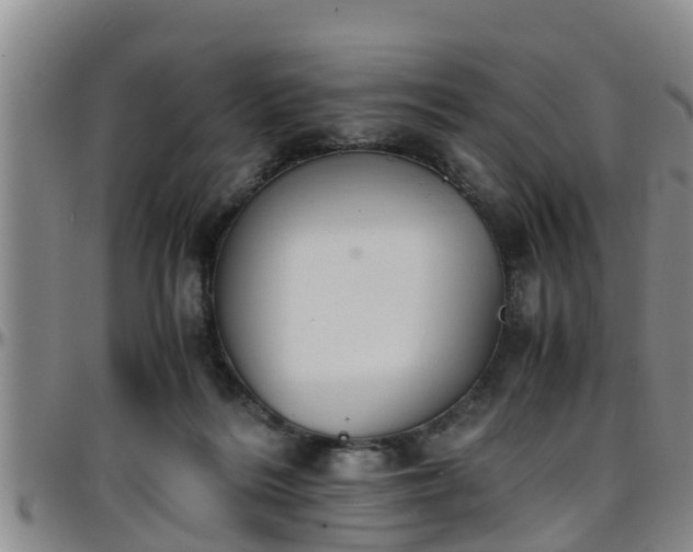 X0000096400220200801311358