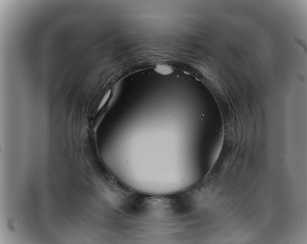 X0000096400221200801311358