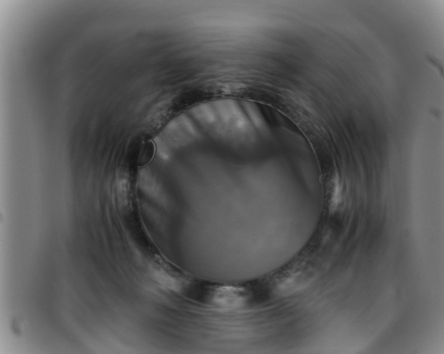 X0000096400222200801311358