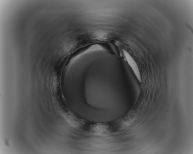 X0000096400223200801311358