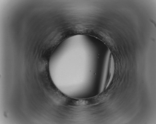 X0000096400225200801311358