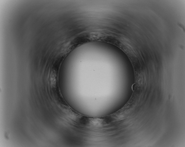 X0000096400226200801311358