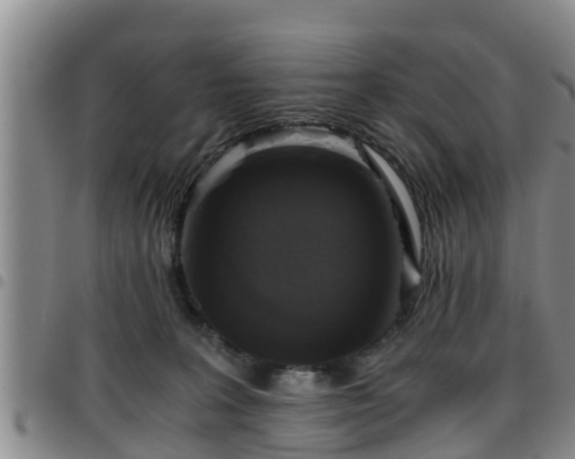 X0000096400227200801311358