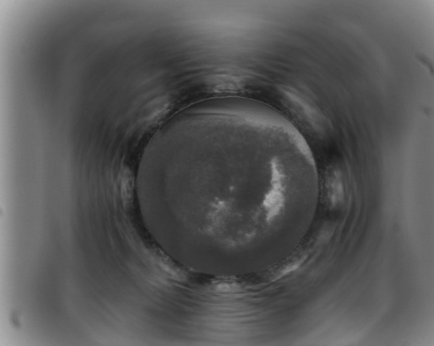 X0000096400228200801311358