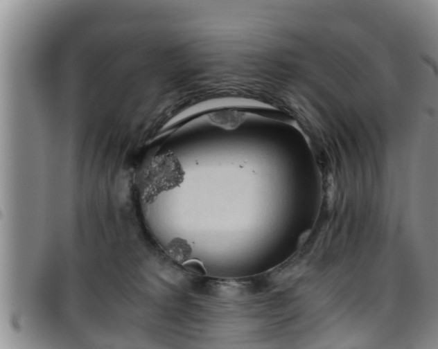 X0000096400229200801311358