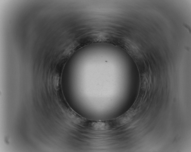 X0000096400230200801311358