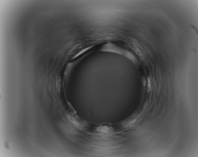 X0000096400231200801311358