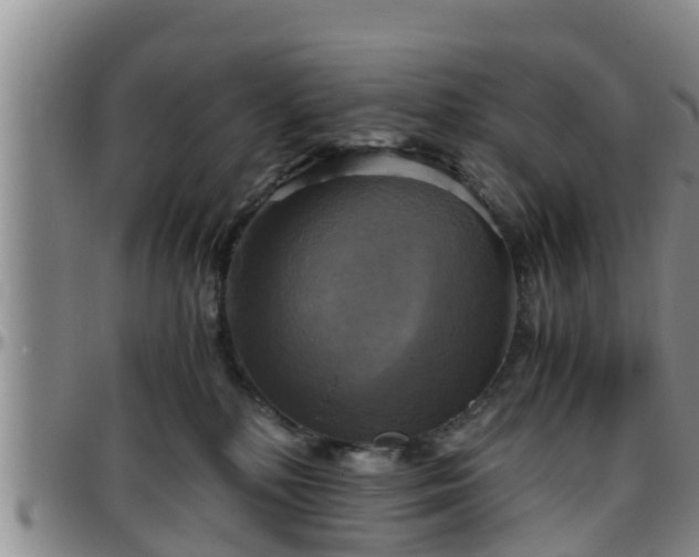 X0000096400232200801311358