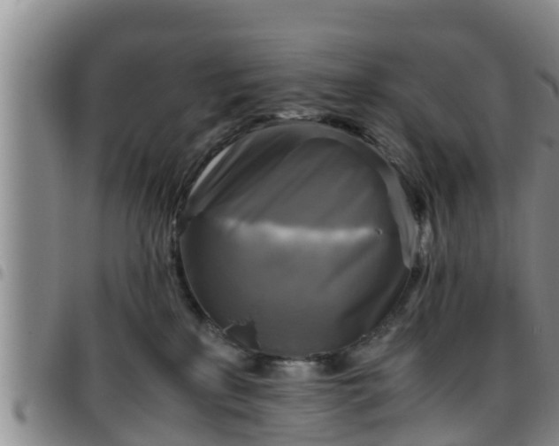 X0000096400233200801311358