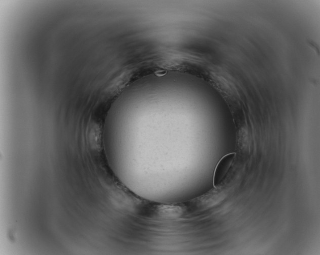 X0000096400234200801311358