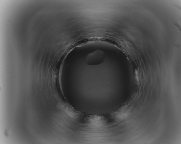 X0000096400235200801311358