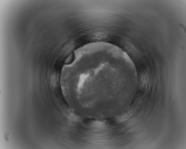 X0000096400236200801311358